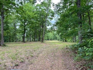 1090 Brown Mill Road McEwen, TN 37101 - Photo 38 of 59 Gallery Image 38