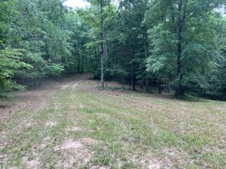 1090 Brown Mill Road McEwen, TN 37101 - Photo 39 of 59 Gallery Image 39