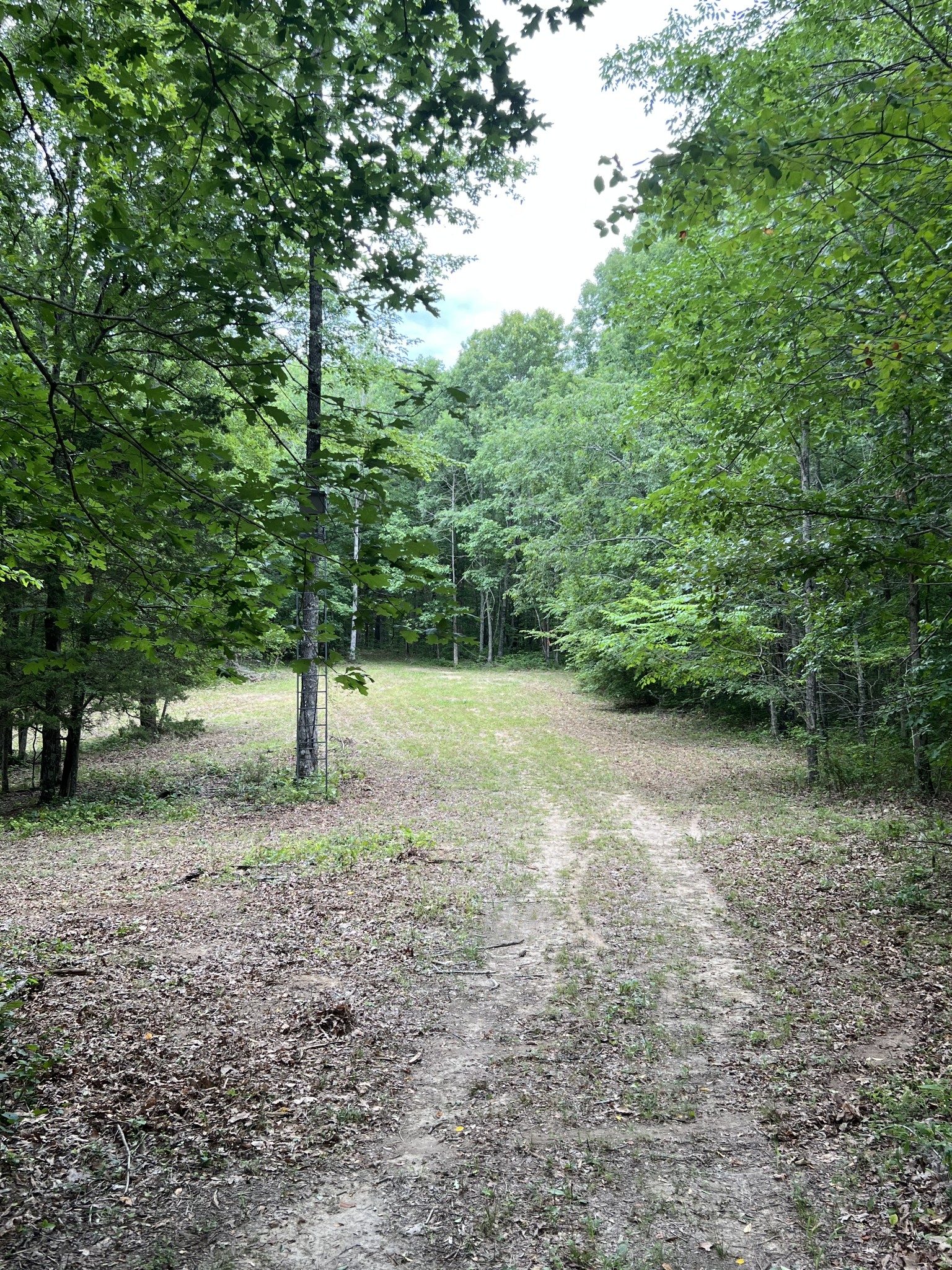 1090 Brown Mill Road McEwen, TN 37101 - Photo 40 of 59 Gallery Image 40