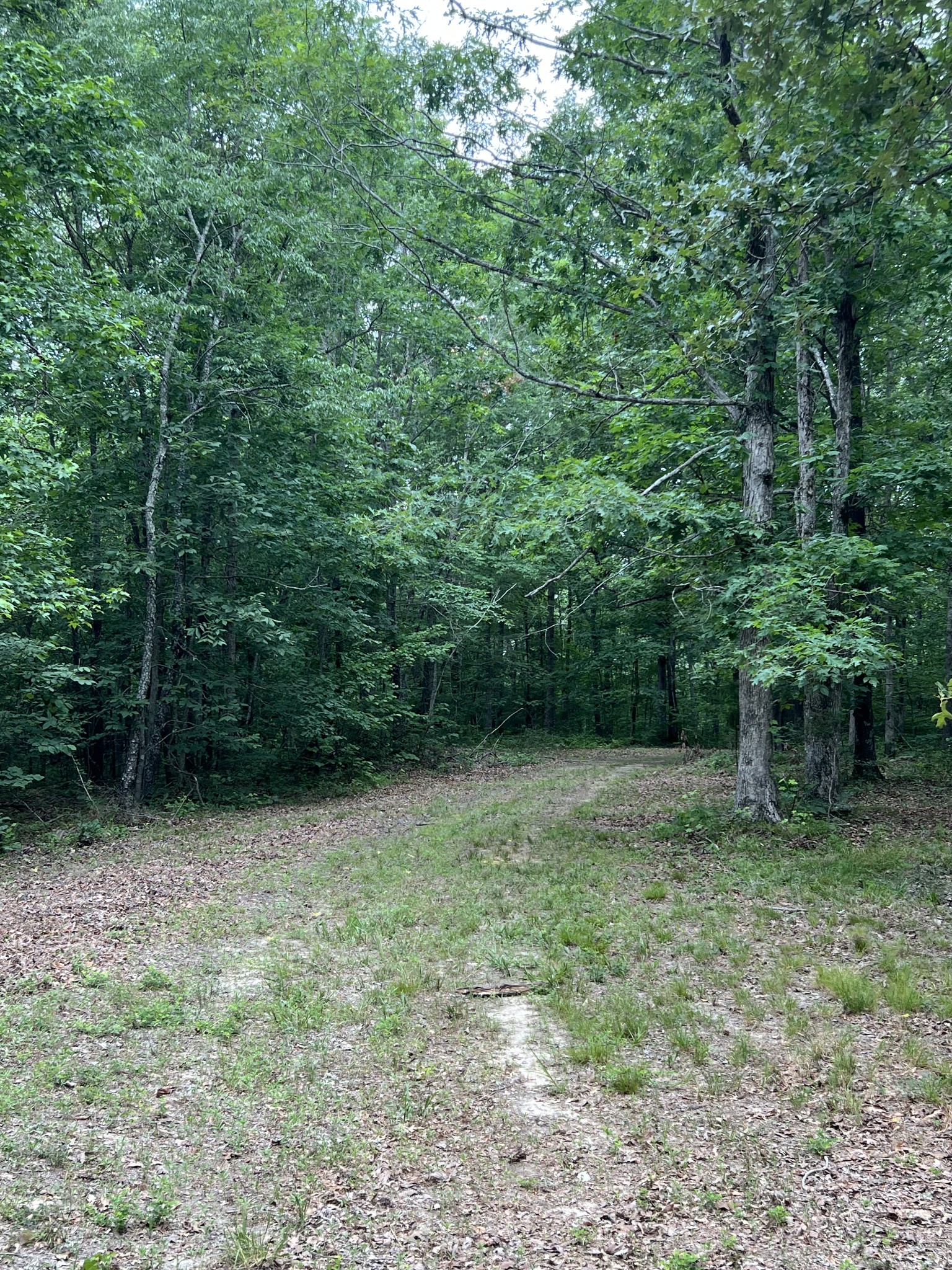1090 Brown Mill Road McEwen, TN 37101 - Photo 41 of 59 Gallery Image 41