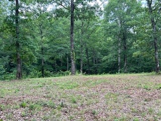 1090 Brown Mill Road McEwen, TN 37101 - Photo 42 of 59 Gallery Image 42