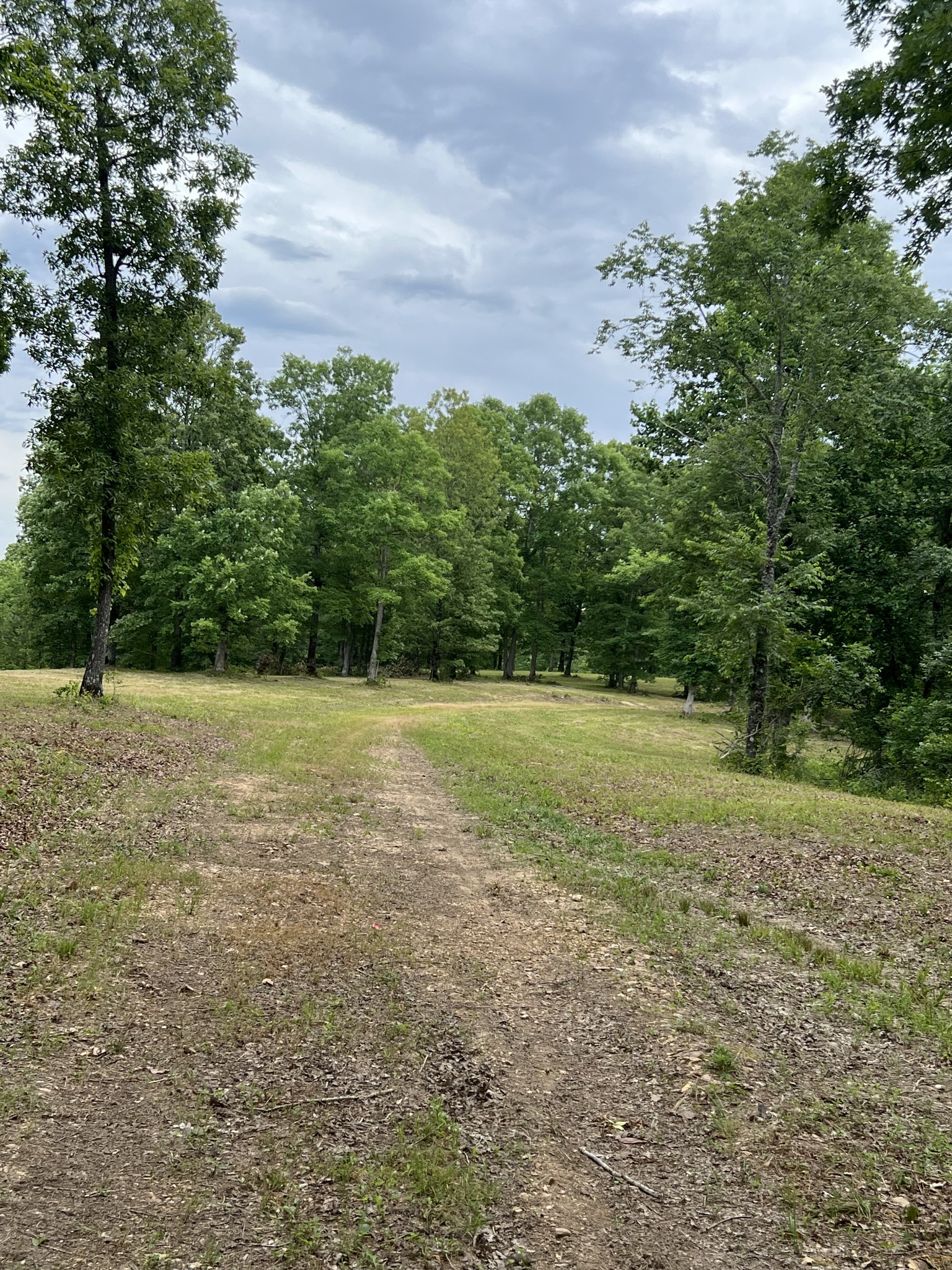 1090 Brown Mill Road McEwen, TN 37101 - Photo 43 of 59 Gallery Image 43