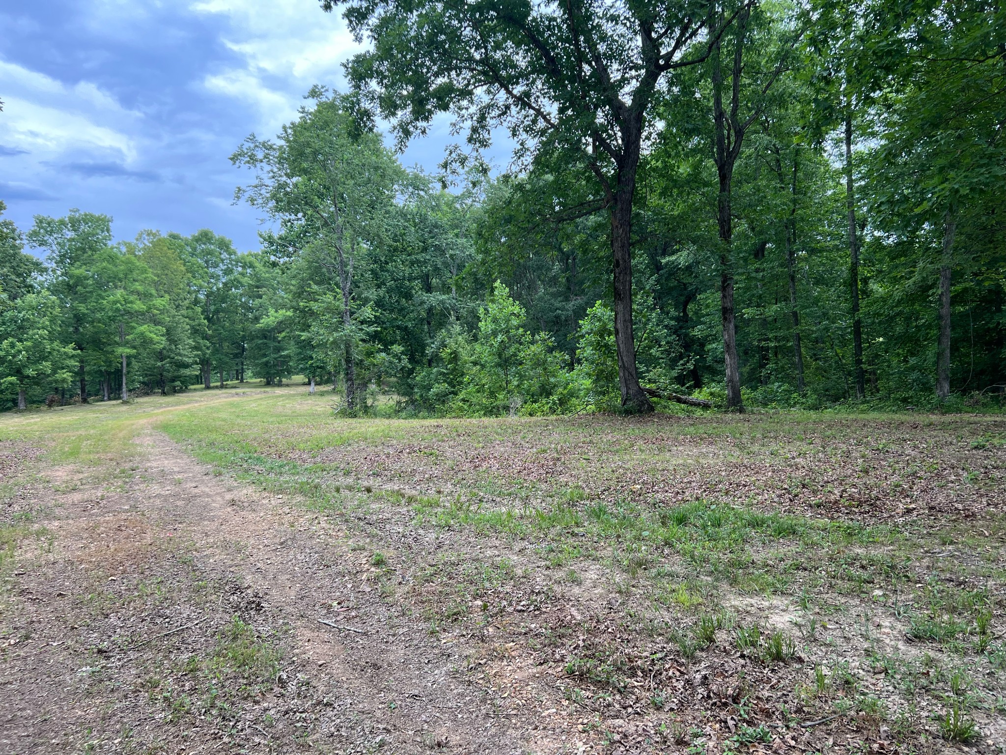 1090 Brown Mill Road McEwen, TN 37101 - Photo 44 of 59 Gallery Image 44