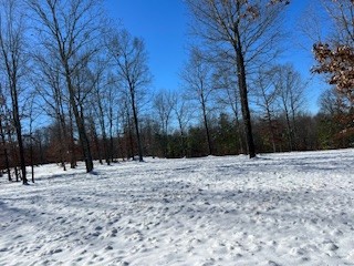 1090 Brown Mill Road McEwen, TN 37101 - Photo 46 of 59 Gallery Image 46