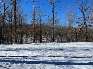 1090 Brown Mill Road McEwen, TN 37101 - Photo 52 of 59 Gallery Image 52