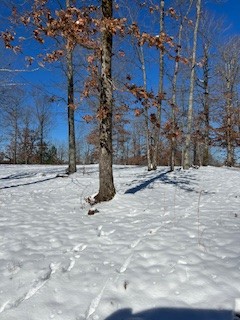 1090 Brown Mill Road McEwen, TN 37101 - Photo 54 of 59 Gallery Image 54