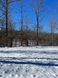 1090 Brown Mill Road McEwen, TN 37101 - Photo 56 of 59 Gallery Image 56