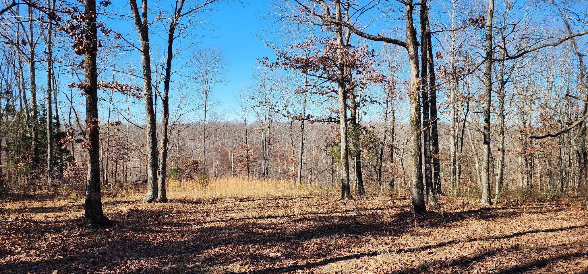 1090 Brown Mill Road McEwen, TN 37101 - Photo 8 of 59 Gallery Image 8