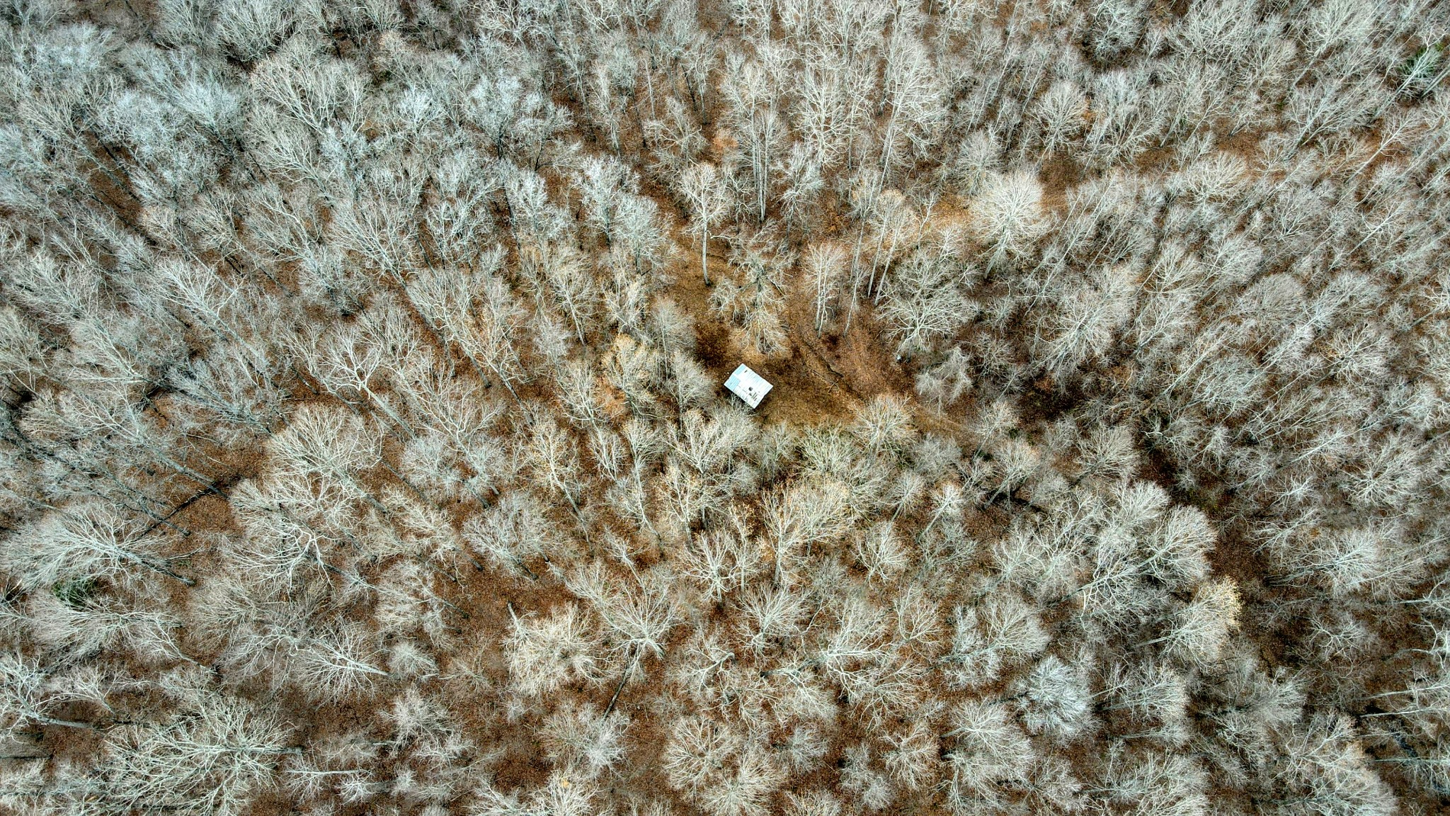 1090 Brown Mill Road McEwen, TN 37101 - Photo 9 of 59 Gallery Image 9