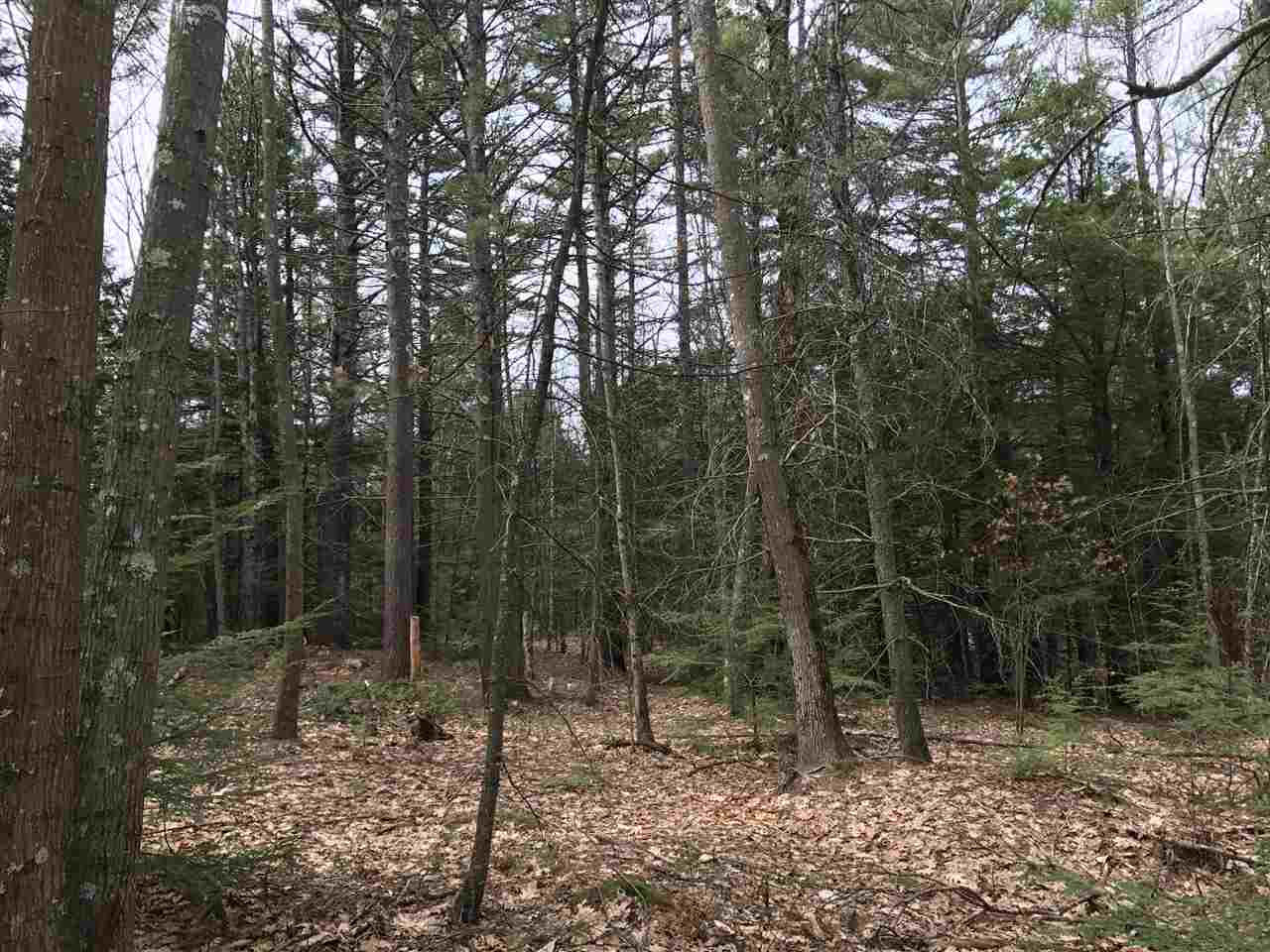 Lot 38 Peter Biron Road Center Barnstead, NH 03225 - Photo 1 of 7