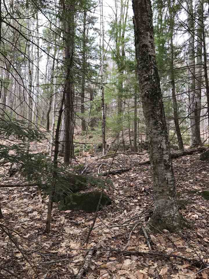 Lot 38 Peter Biron Road Center Barnstead, NH 03225 - Photo 2 of 7