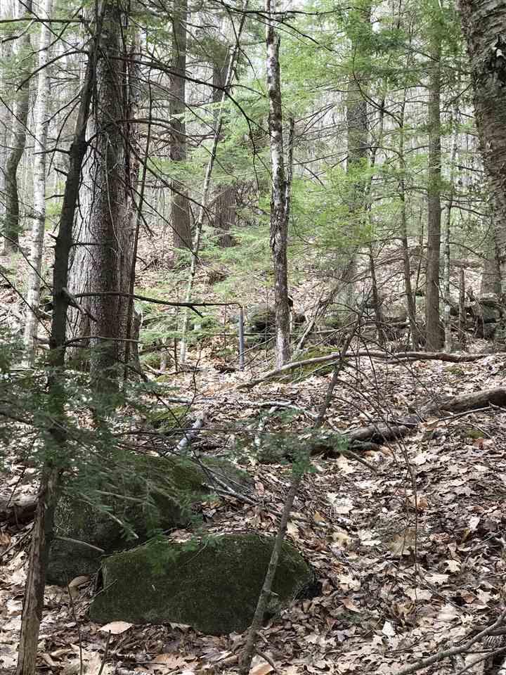 Lot 38 Peter Biron Road Center Barnstead, NH 03225 - Photo 3 of 7