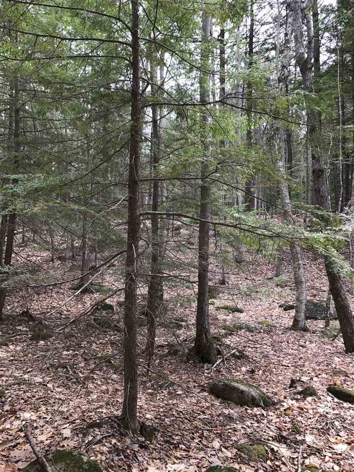 Lot 38 Peter Biron Road Center Barnstead, NH 03225 - Photo 4 of 7