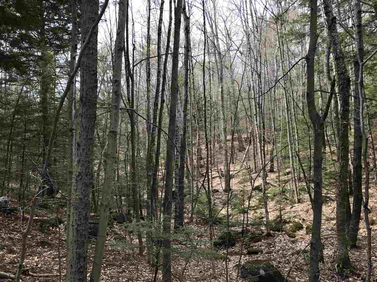 Lot 38 Peter Biron Road Center Barnstead, NH 03225 - Photo 5 of 7