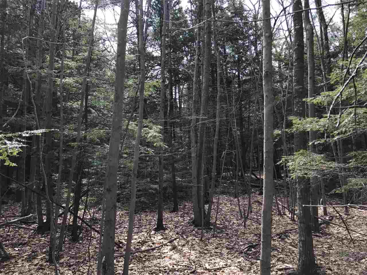Lot 38 Peter Biron Road Center Barnstead, NH 03225 - Photo 6 of 7