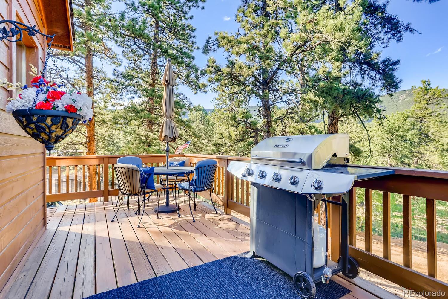 120 Bandit Peak Road Bailey, CO 80421 - Photo 23 of 27 Gallery Image 23