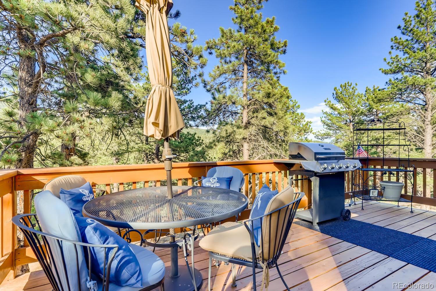 120 Bandit Peak Road Bailey, CO 80421 - Photo 24 of 27 Gallery Image 24