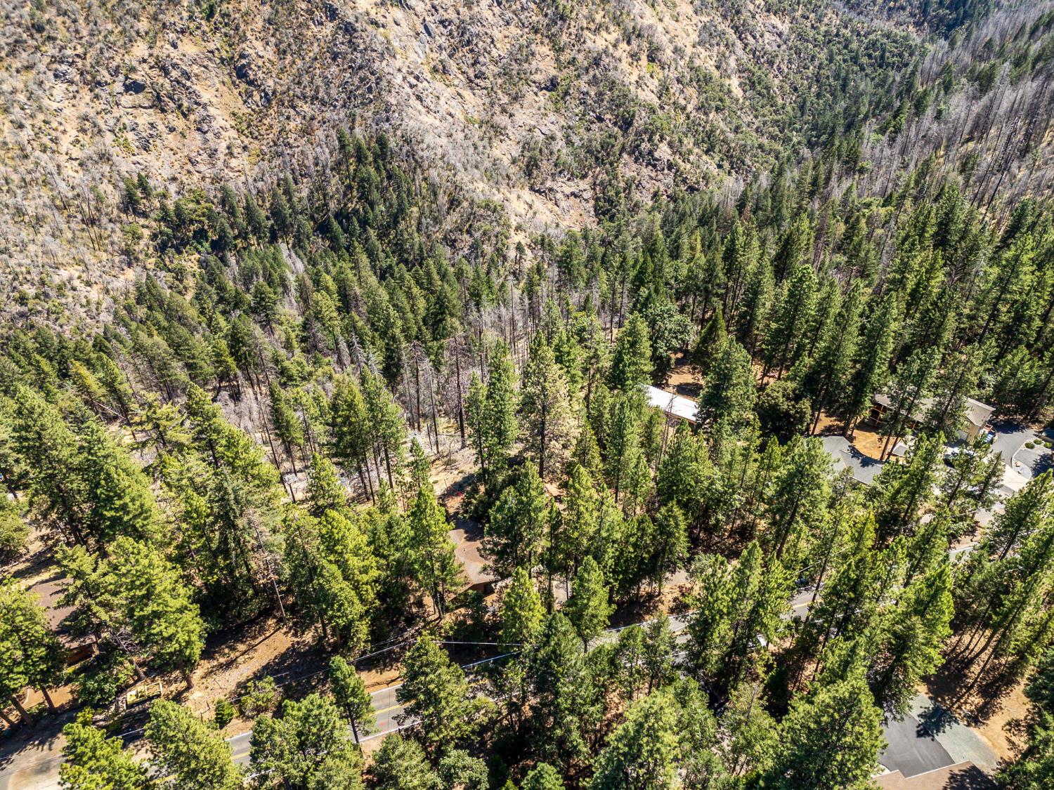 5925 Sly Park Road Placerville, CA 95667 - Photo 47 of 50