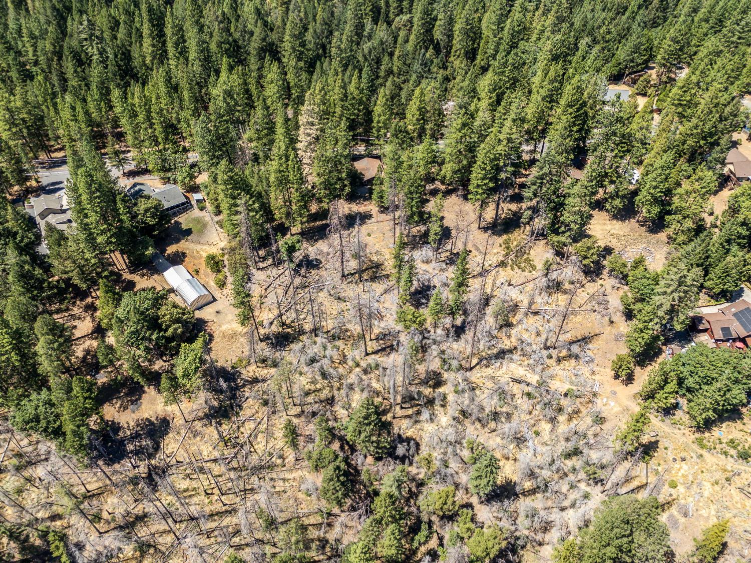 5925 Sly Park Road Placerville, CA 95667 - Photo 48 of 50