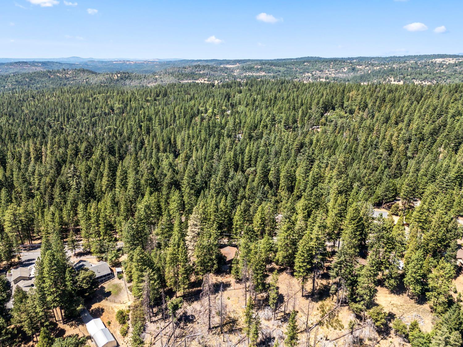 5925 Sly Park Road Placerville, CA 95667 - Photo 50 of 50
