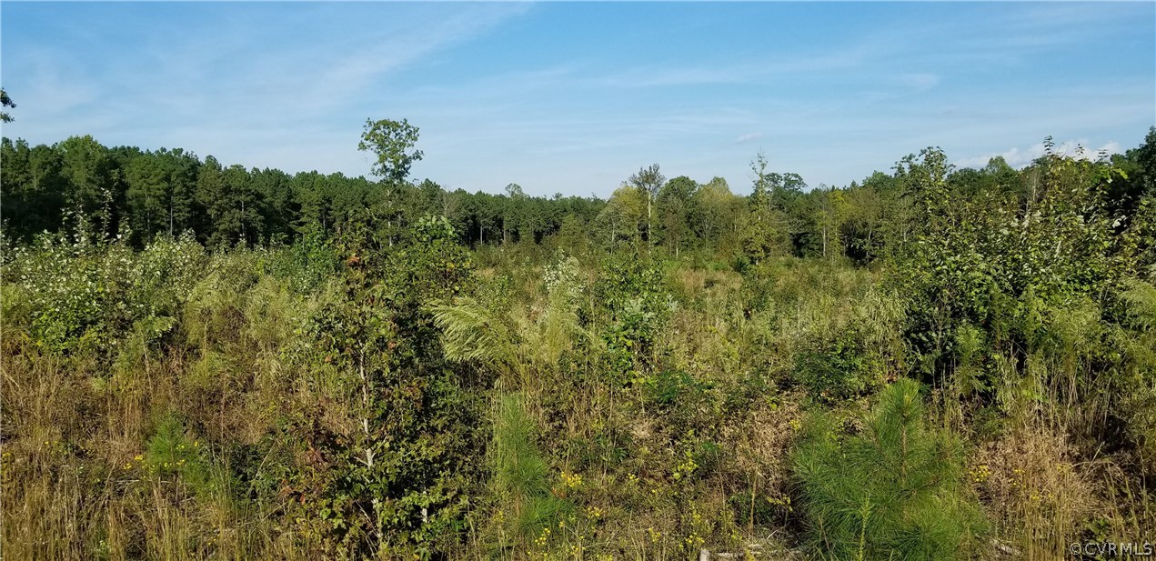 12601 Twin Oak Road Ford, VA 23850 - Photo 11 of 22 Gallery Image 11
