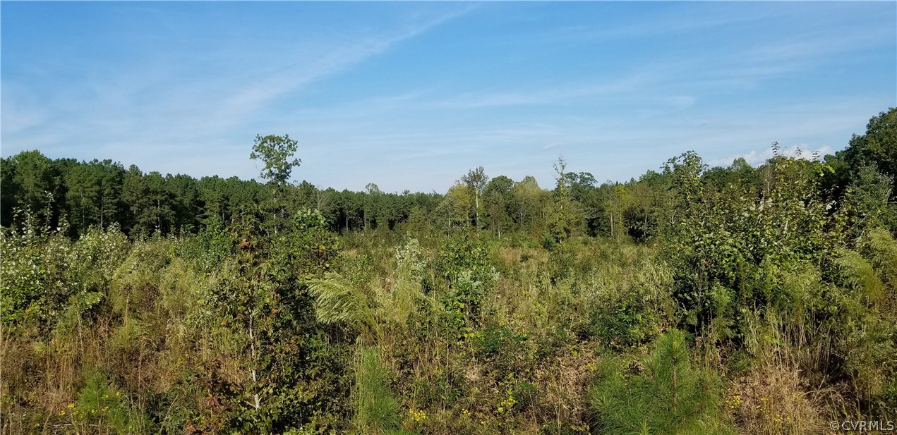 12601 Twin Oak Road Ford, VA 23850 - Photo 12 of 22 Gallery Image 12
