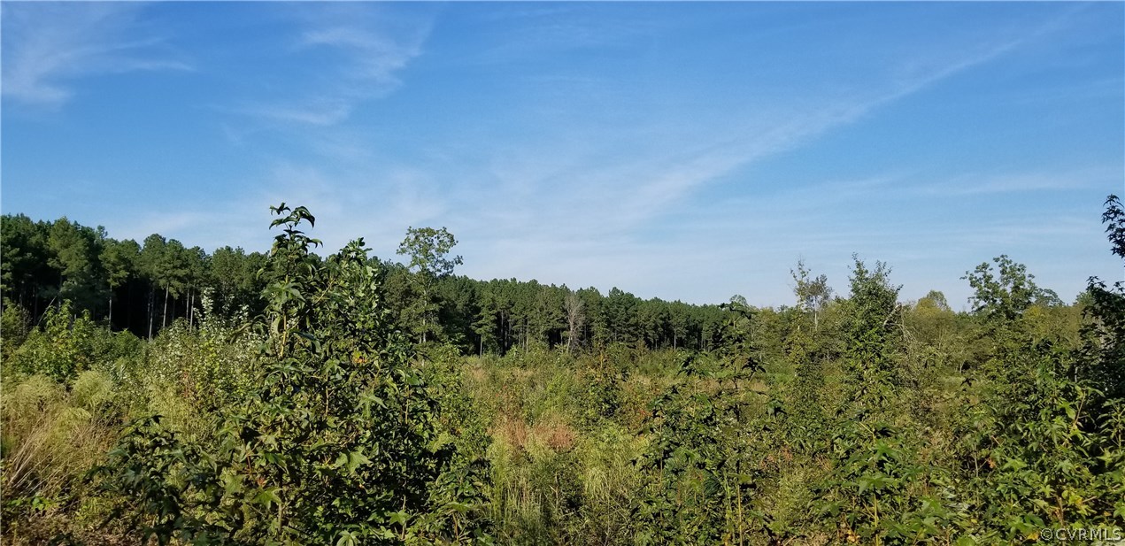 12601 Twin Oak Road Ford, VA 23850 - Photo 13 of 22 Gallery Image 13