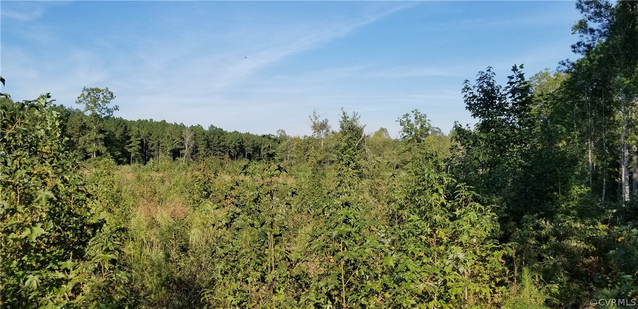 12601 Twin Oak Road Ford, VA 23850 - Photo 14 of 22 Gallery Image 14