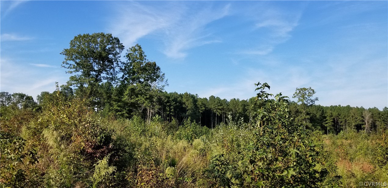 12601 Twin Oak Road Ford, VA 23850 - Photo 15 of 22 Gallery Image 15