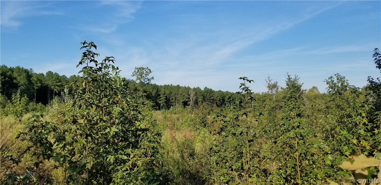 12601 Twin Oak Road Ford, VA 23850 - Photo 16 of 22 Gallery Image 16