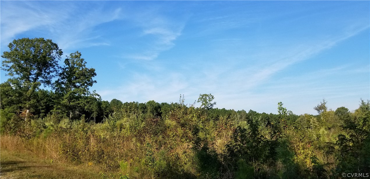12601 Twin Oak Road Ford, VA 23850 - Photo 10 of 22 Gallery Image 10
