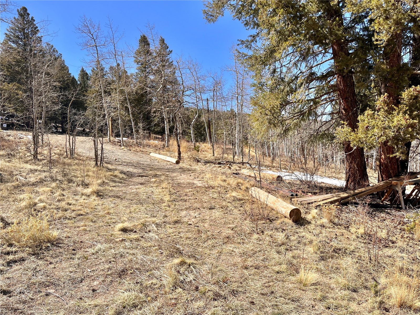 2952 Redhill Road Fairplay, CO 80440 - Photo 9 of 23 Gallery Image 9