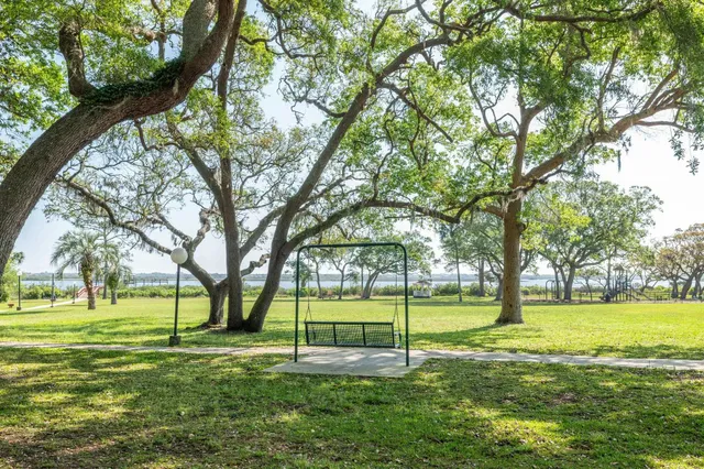 a view of a park with a tree