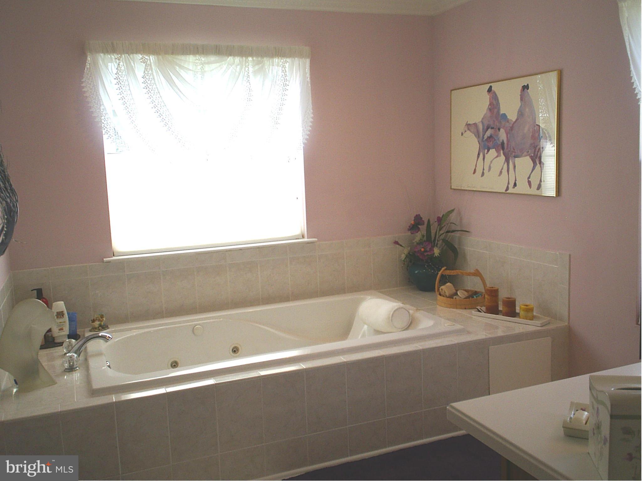 8681 Solomons Island Road North Owings, MD 20736 - Photo 26 of 29 Bath (Master)