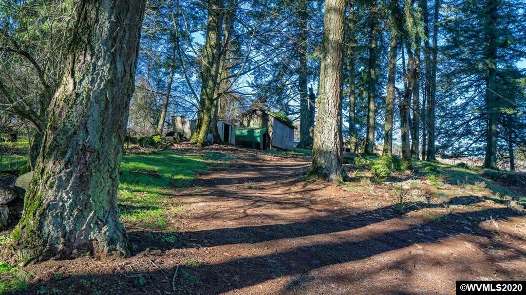 2401 Cole Road South Salem, OR 97306 - Photo 32 of 42 a view of a park with large trees