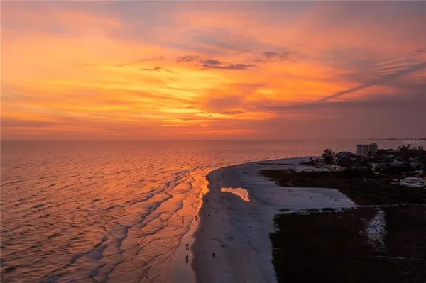 a view of a yard with plants
