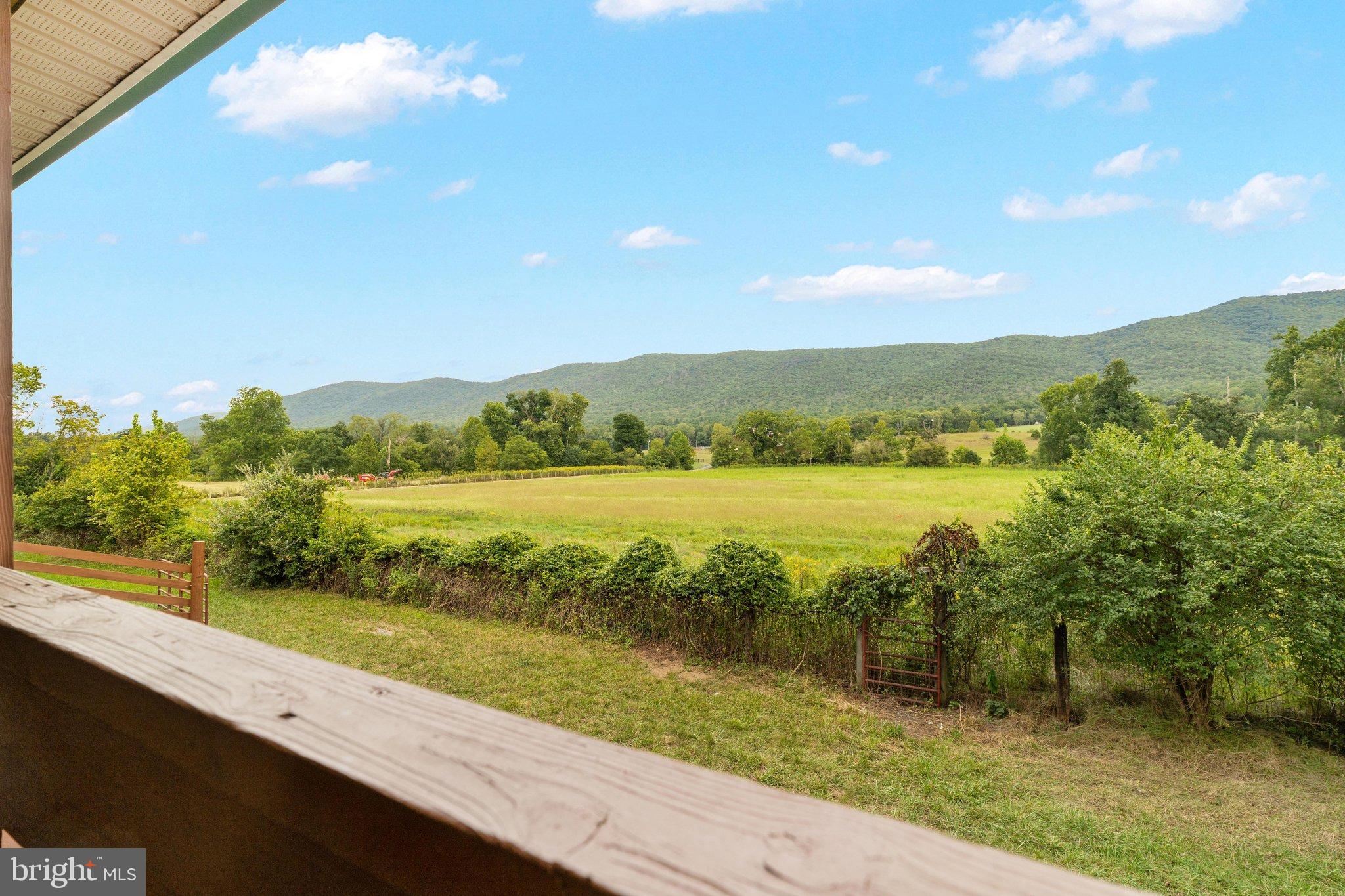 134 Spring Mountain Way Fort Valley, VA 22652 - Photo 36 of 69 The view from the back deck