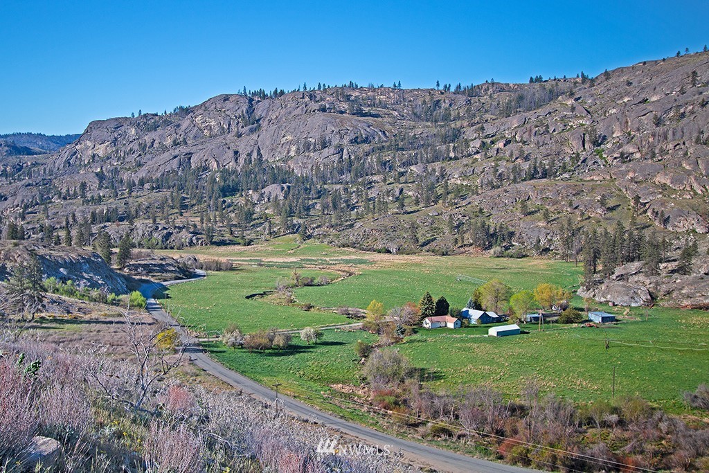 a view of a field with a mountain in the background