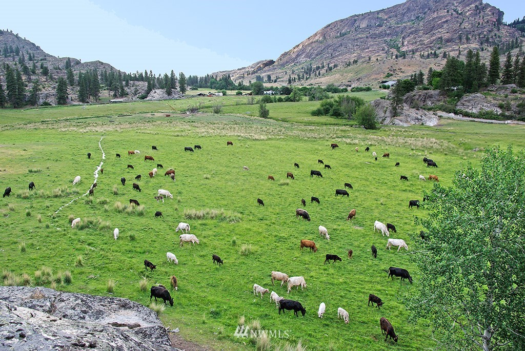 322 North End Omak Lake Road Omak, WA 98841 - Photo 11 of 40 a view of a lush green field
