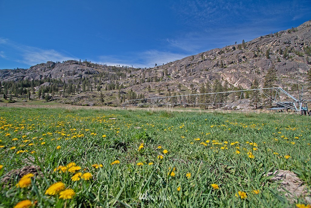 322 North End Omak Lake Road Omak, WA 98841 - Photo 13 of 40 a view of a field with an outdoor space
