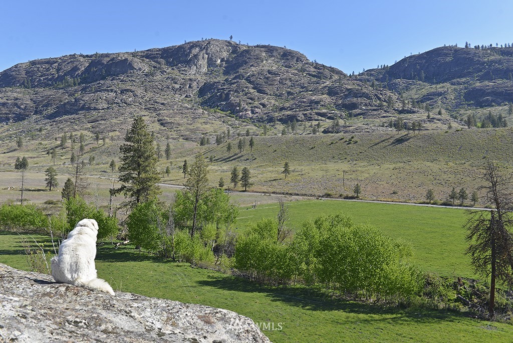 322 North End Omak Lake Road Omak, WA 98841 - Photo 16 of 40 a view of a outdoor space