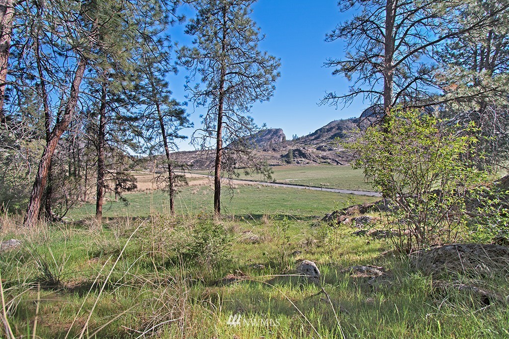 322 North End Omak Lake Road Omak, WA 98841 - Photo 19 of 40 a view of a garden