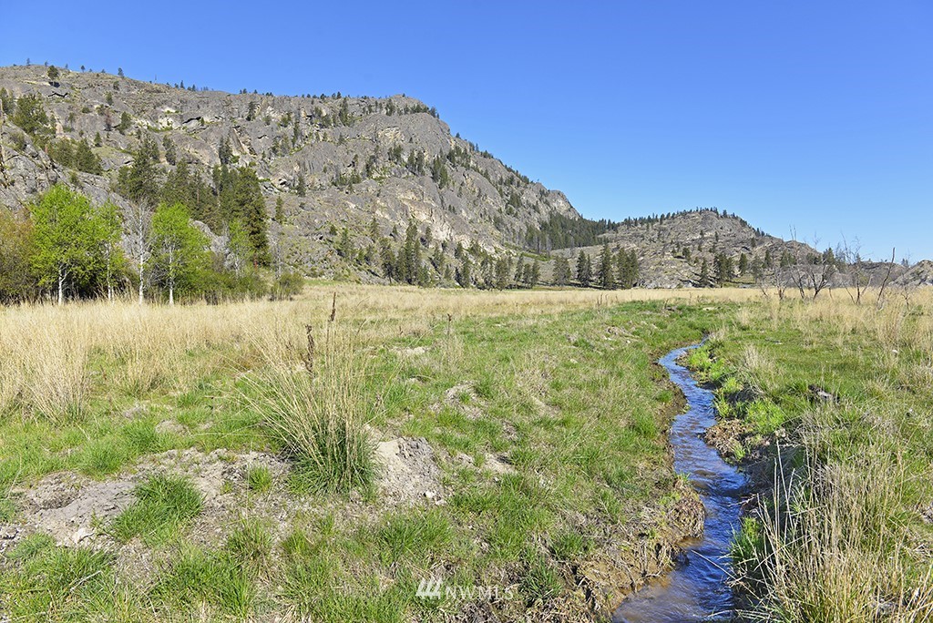 322 North End Omak Lake Road Omak, WA 98841 - Photo 4 of 40 a view of a lake with a mountain in the background