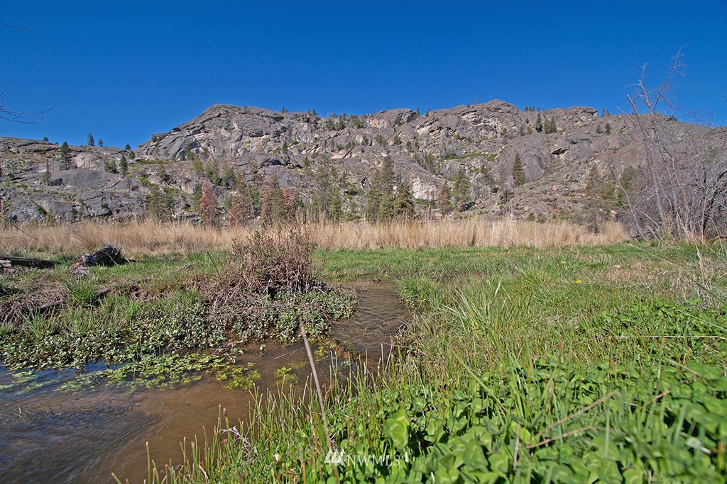 322 North End Omak Lake Road Omak, WA 98841 - Photo 5 of 40 a view of a field with a mountain in the background