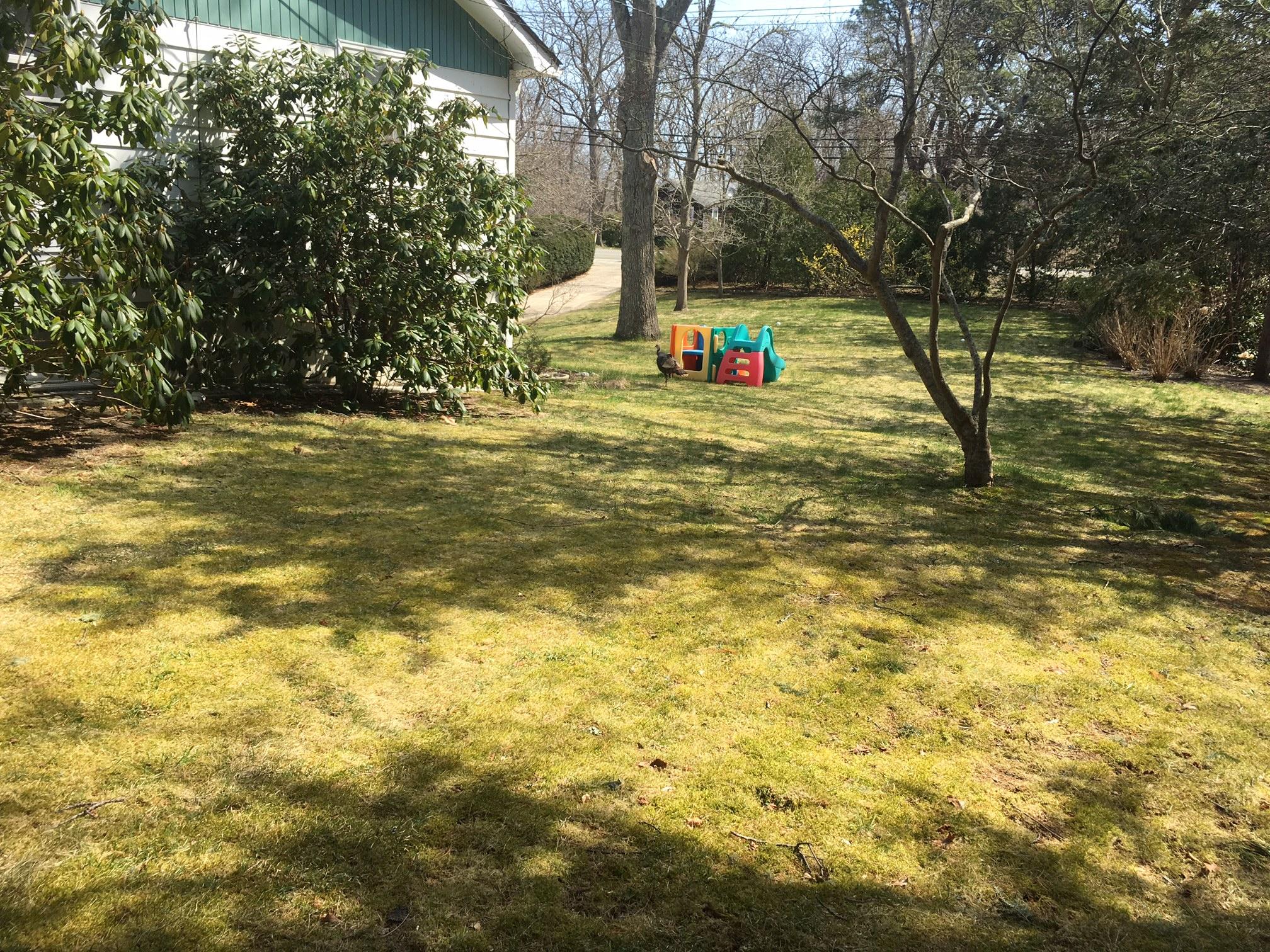 118 South Orleans Road Orleans, MA 02653 - Photo 20 of 22 IMG_3732