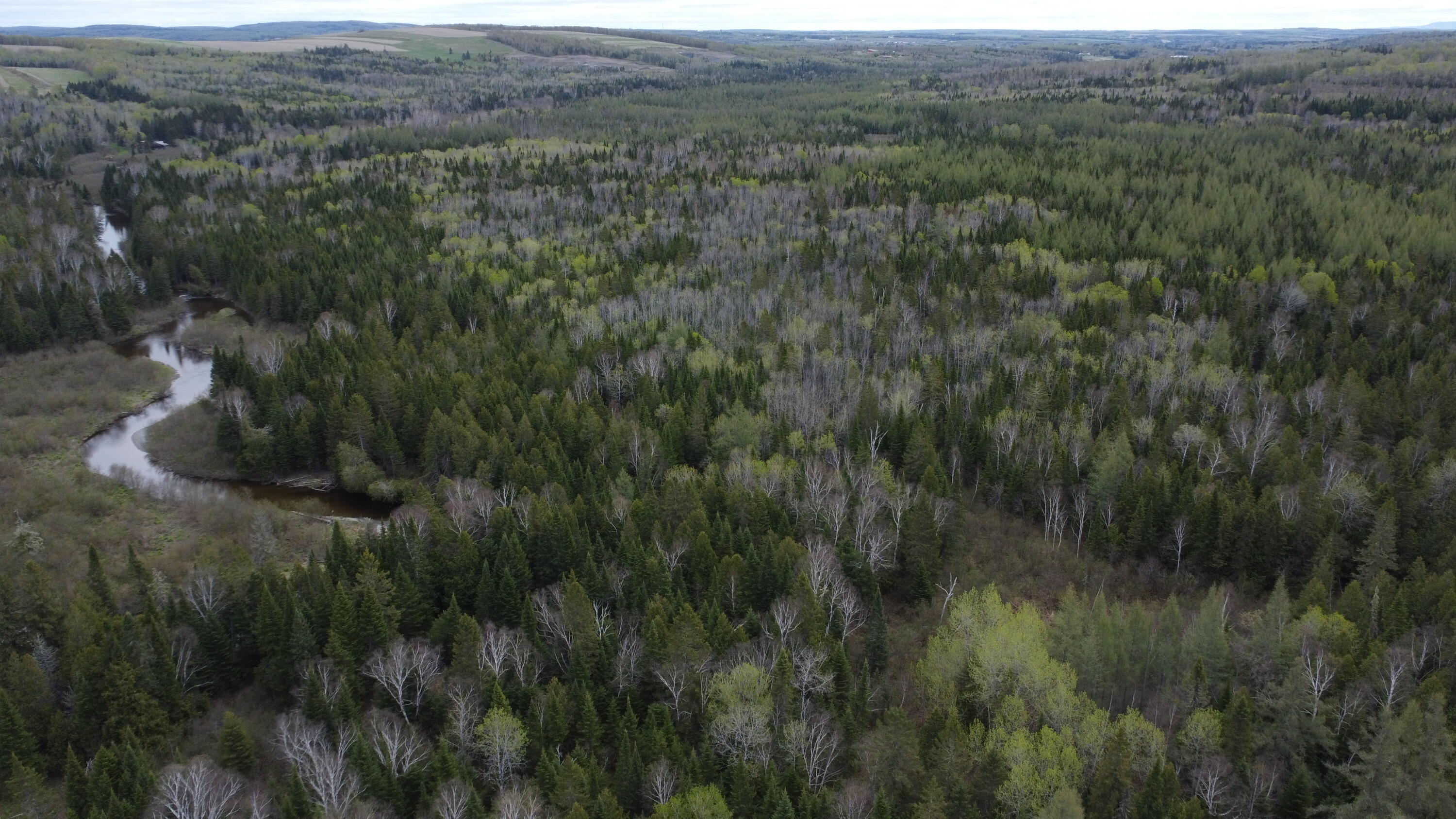 M5-l15 Alexander Road Van Buren, ME 04785 - Photo 4 of 18 dji_fly_20260521_100644_386_177937249031