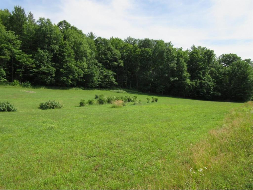 0 Pollard Road Smithville, NY 13778 - Photo 4 of 9 Gallery Image 4