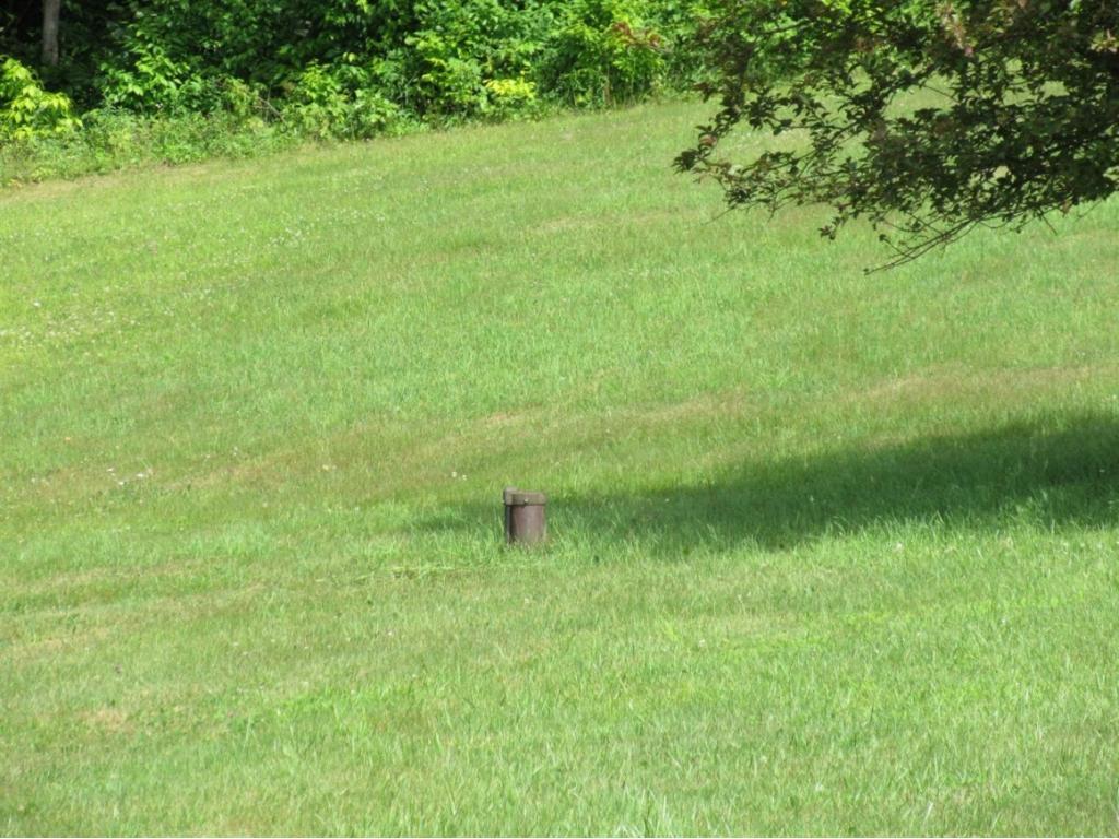 0 Pollard Road Smithville, NY 13778 - Photo 5 of 9 Gallery Image 5