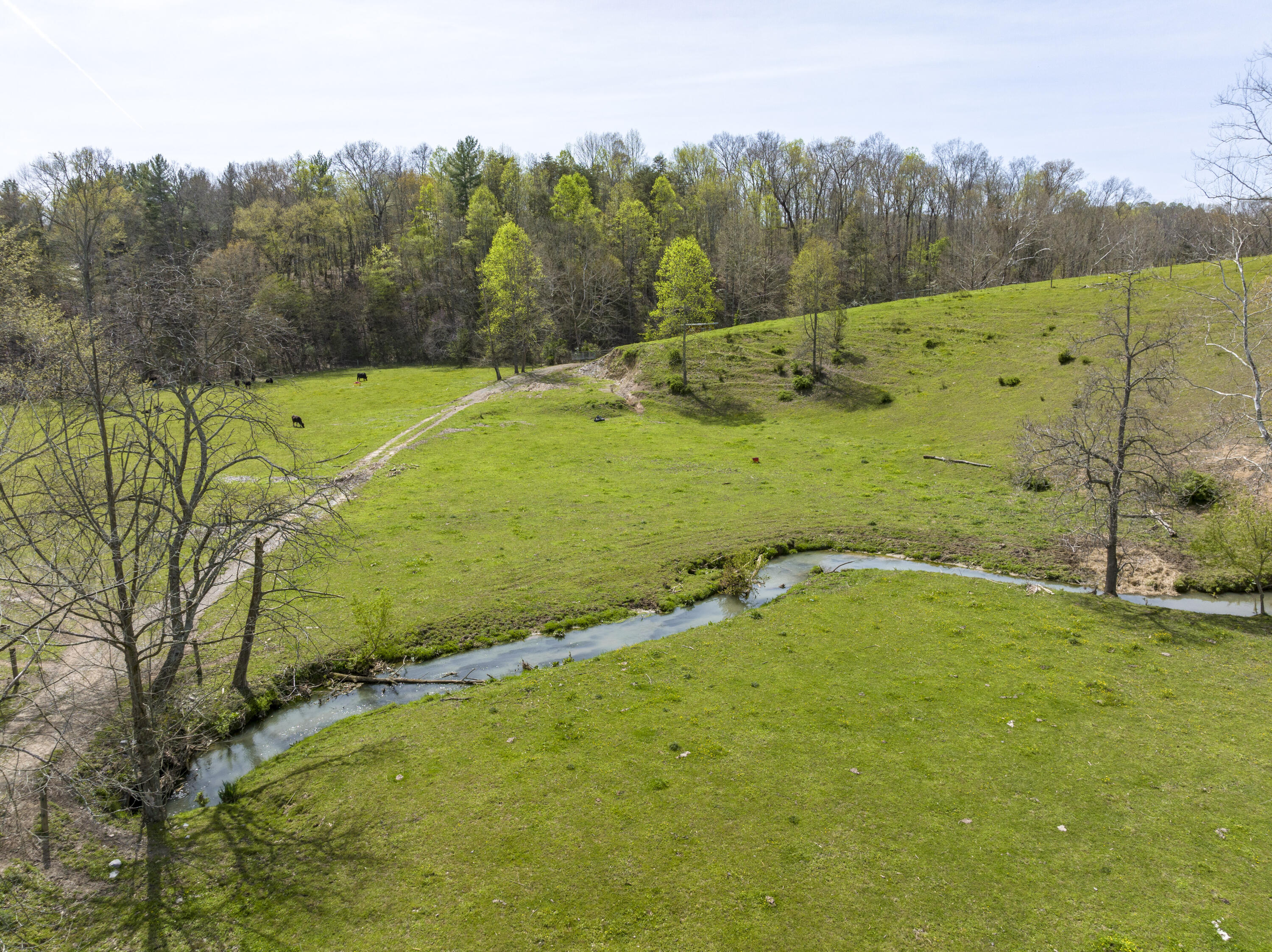 Tbd Bayless Road Jonesborough, TN 37659 - Photo 20 of 31 Bayless-Aerials-20