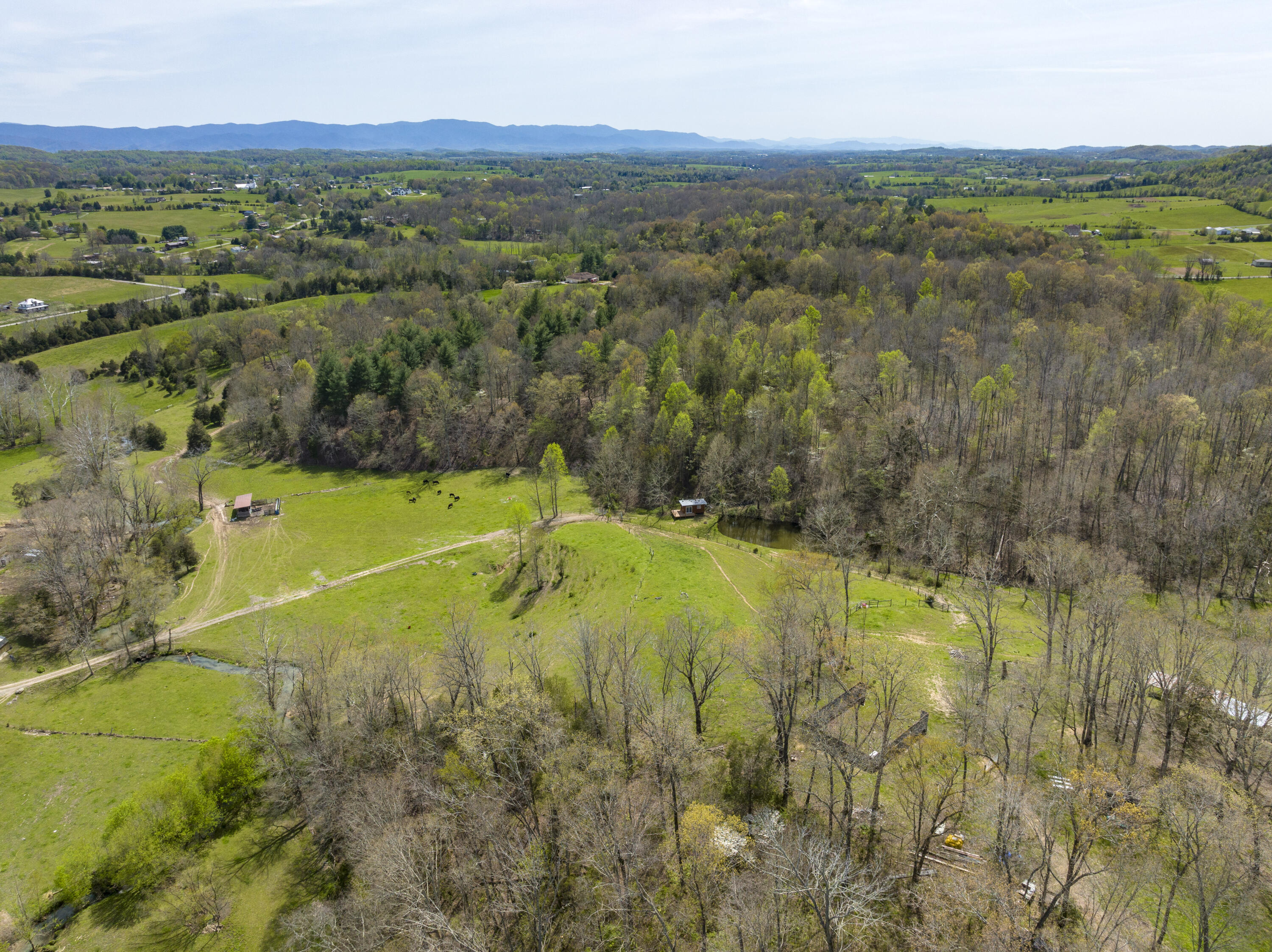 Tbd Bayless Road Jonesborough, TN 37659 - Photo 26 of 31 Bayless-Aerials-11
